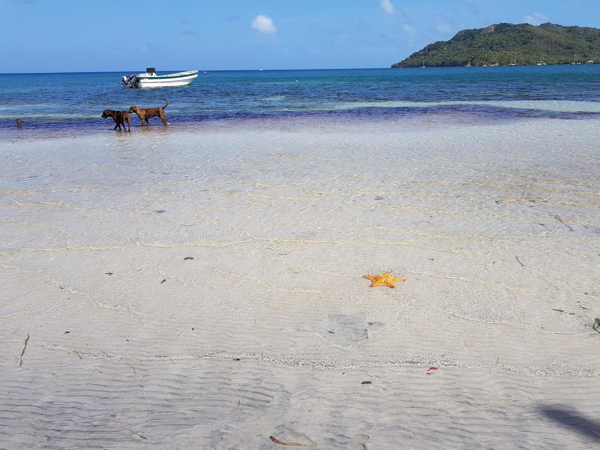 Posada Old Town Bay Providencia  외부 사진